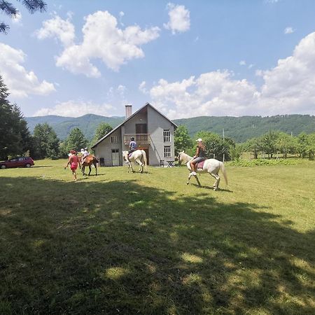 Apartmán Pine Corner Mojkovac Exteriér fotografie