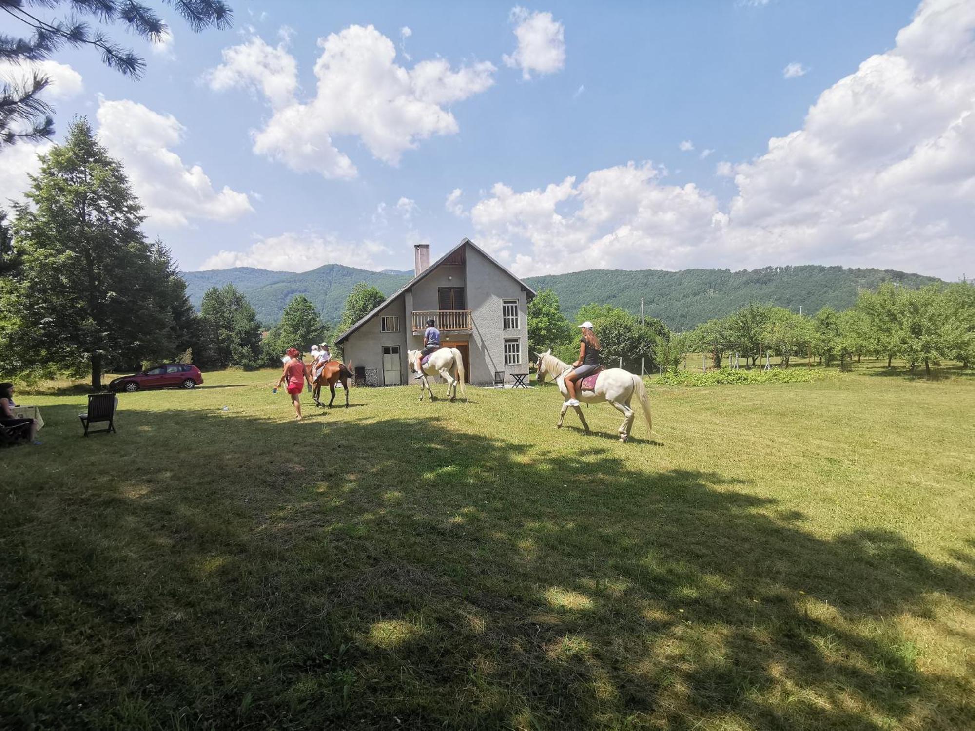 Apartmán Pine Corner Mojkovac Exteriér fotografie
